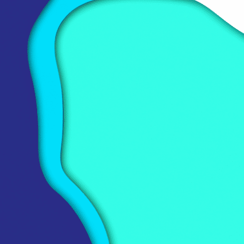 The Real Difference Between Traffic and Business Growth